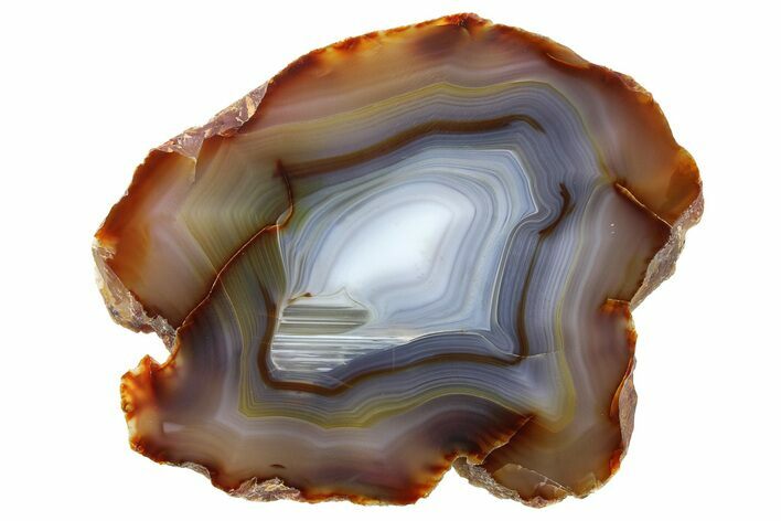 Polished, Banded Agate Slab - Brazil #279580